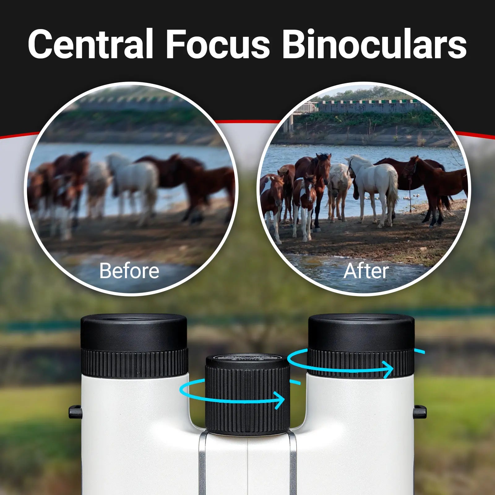 Seestar 8x24mm Compact Binoculars with 0.8m Close Focus and FMC Coating for Sports, Concerts, and Hiking
