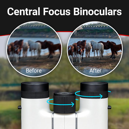 Seestar 8x24mm Compact Binoculars with 0.8m Close Focus and FMC Coating for Sports, Concerts, and Hiking